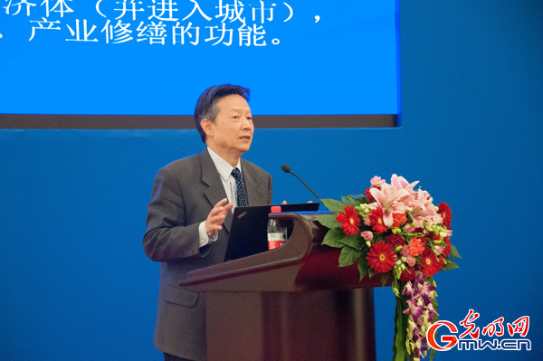 仇保兴：特色小镇的发展要有深度和广度